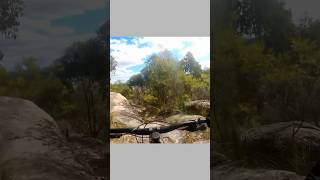 This place is amazing #adventurepark #mtb...