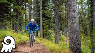 Montana Snowbowl Missoula Mountain Biking Trails Trailforks