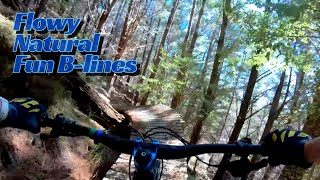Free Range at the Gorge MTB Park - heaps of...