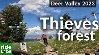 Thieves Forest