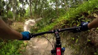 Spitfire and Rollercoaster at Alafia River...
