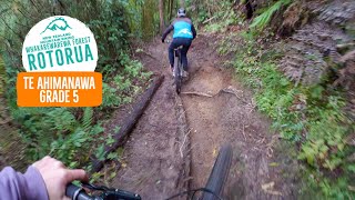 One of our Favourites! Te Ahimanawa, Rotorua