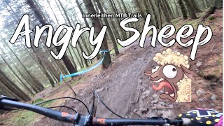 Angry Sheep - Innerleithen Swoopy Natural Flow...