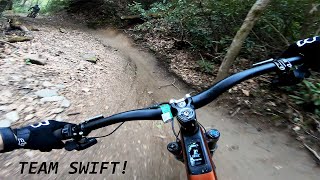 Lower Black Mountain // Pisgah National Forest NC