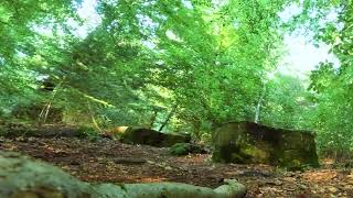 Let's Ride MTB - Heidelberg // Königstuhl -...