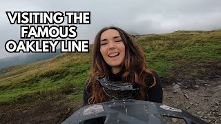 DYFI BIKEPARK PRIME CONDITIONS!