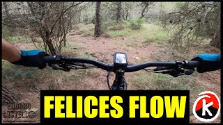 Felices Flow