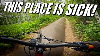 Why did I wait SO LONG?? || Road Tripp'n...