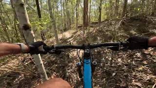 Skrood Mountain Bike Trail in Nerang National...