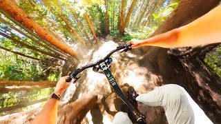 Finding my LIMIT at the Wildest Bikepark