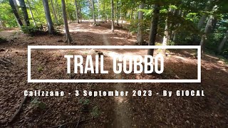 Calizzano eMTBing - Trail Gobbo
