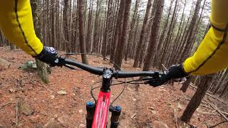 Pine Mountain - Cornbread - 1.29.2021