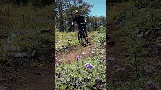 Tires on dirt #sound #asmr #mountainbiking