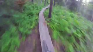 Gillard - Cat's Ass (DH MTB Trail)