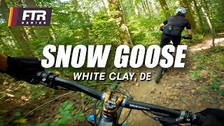 Snow Goose – White Clay Creek State Park, DE...