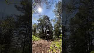 Stengeten - Mölnlycke