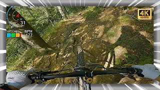 THIS is my favourite MTB trail in the...