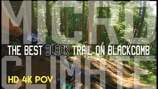You MUST Shred The BEST Black Trail on...