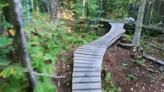 This Trail Is Built Entirely Out Of Wood