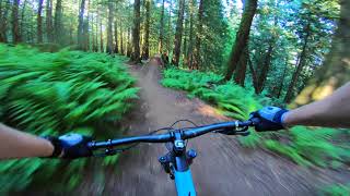 vedder mountain bike shop