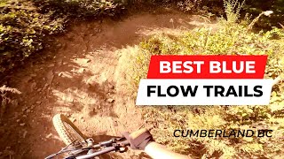 BEST Blue MTB Trails | Cumberland BC