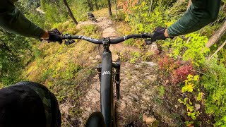 These rocks keep the bike shops in business |...
