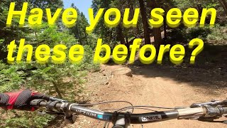 Skypark Mountain Biking Dark Forest,...