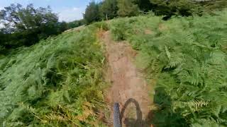 Acuto Trail - Monte Acuto