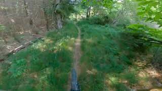CAI 9 - Castagno D'Andrea