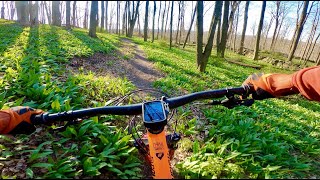Lackawanna State Park Flo Trail & Rowlands...