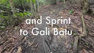 Singapore's Double Black Climb and Sprint to...
