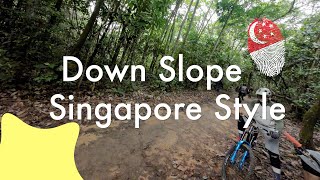 Singapore's Best Down Slope