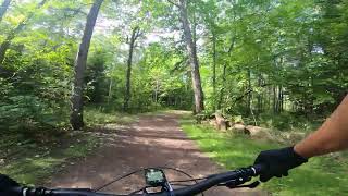 Moncton Centennial Park Martre Trail