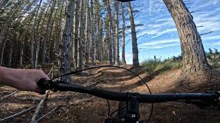 Release Valve @ Woodhill MTB Park. Auckland