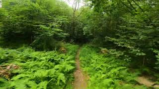 Ramble On - Birdsboro