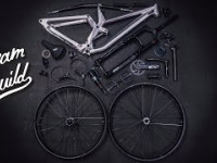 DREAM BUILD MTB - Rose Scrub - Patricia Druwen
