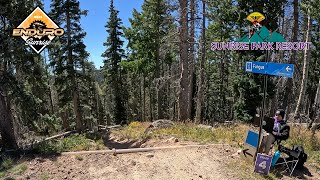 Fungus / Childrens / Project - Sunrise MTB...