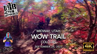 MTB Riding The WOW Trail | Colours | Midway,...