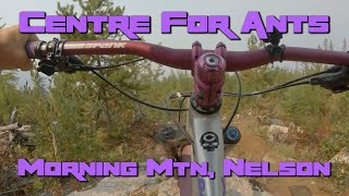 Mountain Biking: Centre For Ants, Morning...