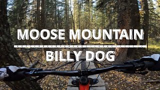Billy Dog | Moose Mountain MTB
