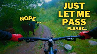From Mud to Moo Biking Through Challenges and...