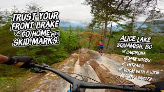 Stumbling on a Brand New Trail