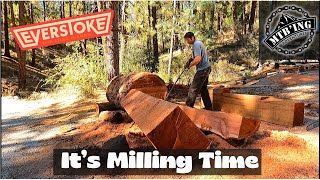 Saw Mill In Action - The Start of the New...