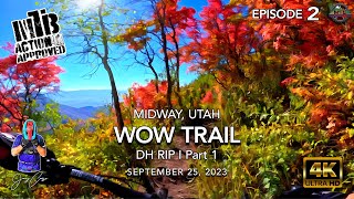 MTB Riding The WOW Trail | DH Rip | Midway,...