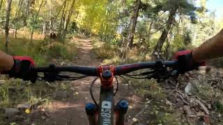 Duchess -- Angel Fire Bike Park, NM