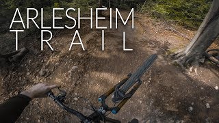 Bike Trail Arlesheim
