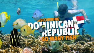 Snorkeling In Punta Cana | Discovering...