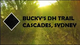 Buckys DH Trail RAW : Cascades Belrose, Terry...