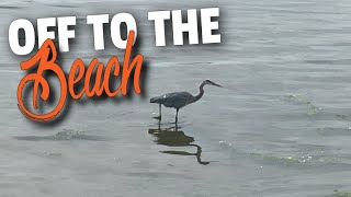 Off To The Beach |  Vancity Adventure