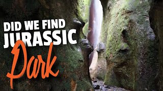 Mystical Waterfalls | Port Renfrew BC Canada |...